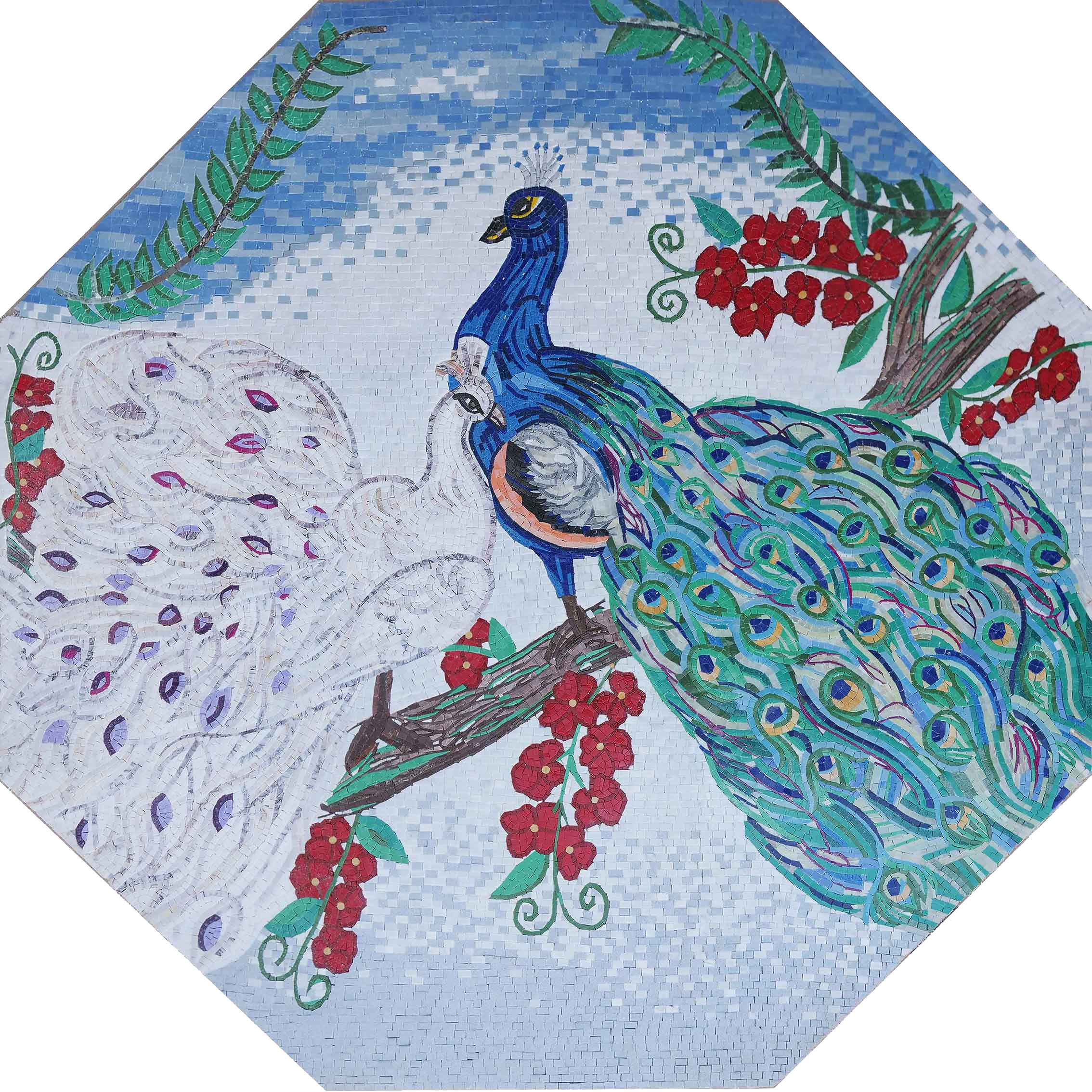 Peacock Couple